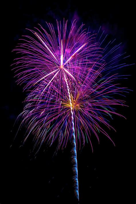 Purple Fireworks Photograph By Garry Gay Fine Art America