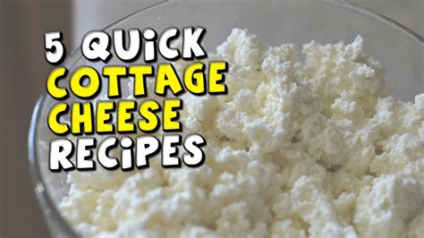 5 Quick Cottage Cheese Recipes Youtube