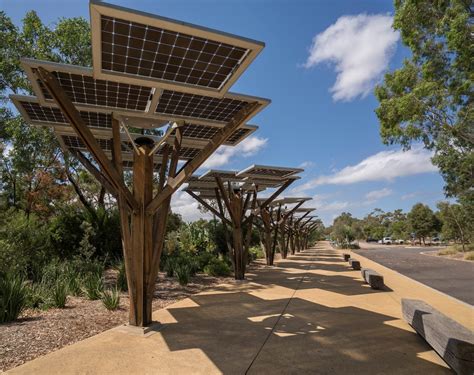 Solar Forest Sustainabili Trees Interpretation Australia
