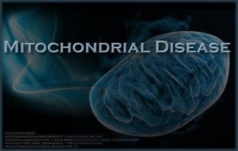 Mitochondrial Disease The Energy Sapping Condition You May Not Know