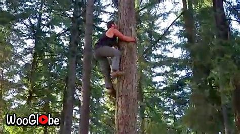 Man Climbing Tree With Bare Hand Wooglobe Youtube