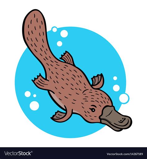 Platypus Cartoon