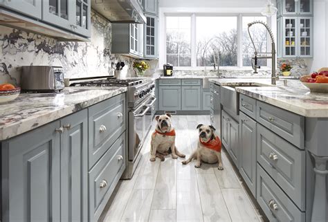 Master bathroom tahoe painted harbor. This Pawsitively Gorgeous Kitchen Was Inspired By A Great Dane