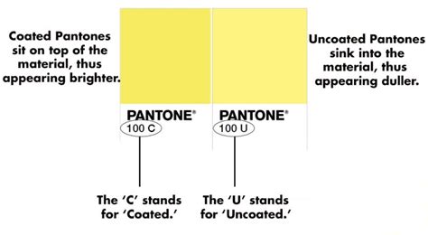What Are The Pantone Colors
