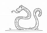 Snake Coloring Printable Drawing Cartoon Anaconda Rattlesnakes Cobra Bestcoloringpagesforkids Visit Popular sketch template