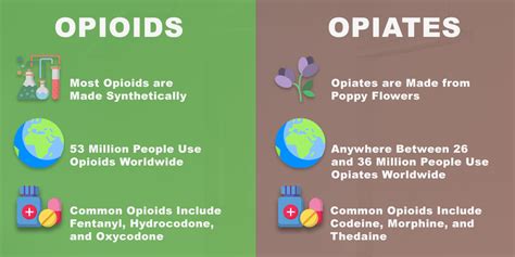 The Opiod Facts You Need To Know Footprints To Recovery