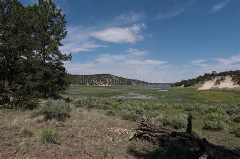 Eastern End Quemado Lake In New Mexico Stock Photo