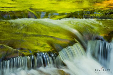 5 Ideas To Capture Abstract Nature Photography Composition