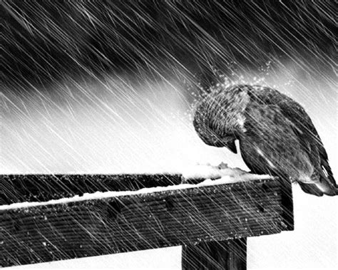 Depression Sad Mood Sorrow Dark People Love Winter Rain Wallpapers