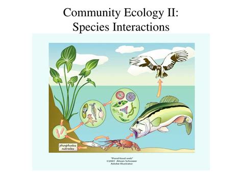 Ppt Community Ecology Ii Species Interactions Powerpoint