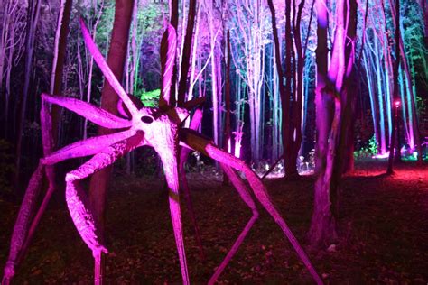 Night Lights Returns To Griffis Sculpture Park For Sixth Year Sitlerhq