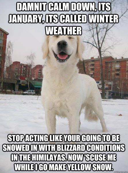 The 20 Funniest Snow Memes Ever