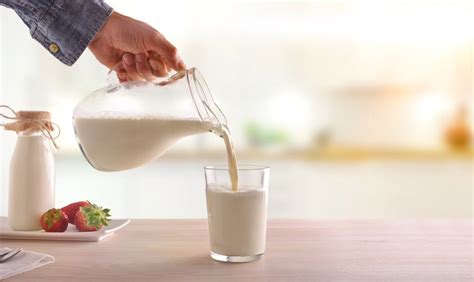 Resumen de 32 artículos como se hace la leche desnatada actualizado