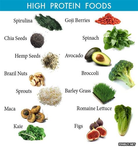 Top High Protein Foods Healthy Food For Fitness High Protein