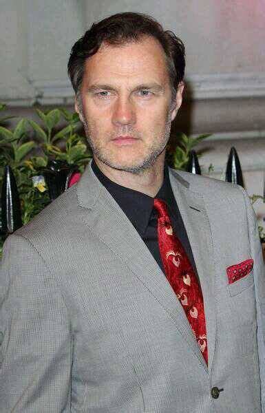 Pin On David Morrissey