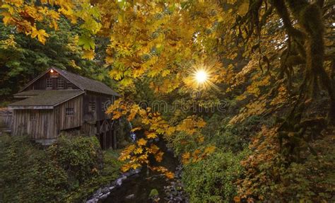 Old Grist Mill In The Fall Stock Photo Image Of Mill Trees 130353736