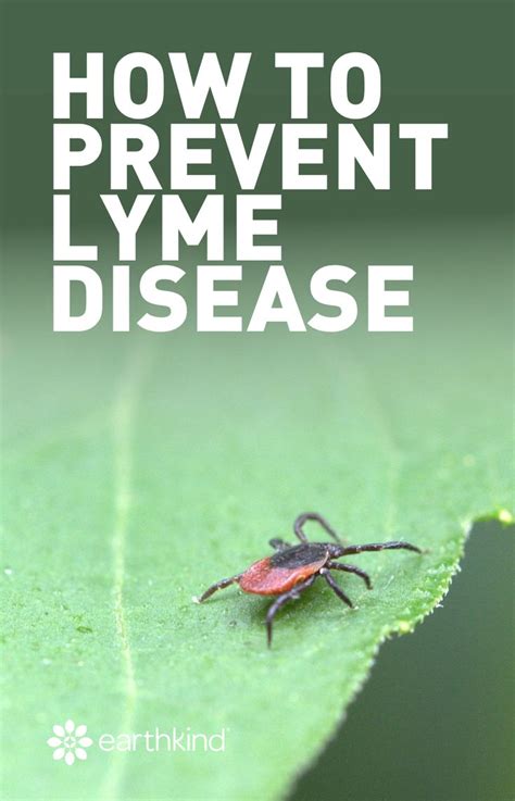 How To Prevent Lyme Disease Earthkind Lyme Lyme Disease Disease