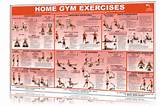 Exercise Program In Gym