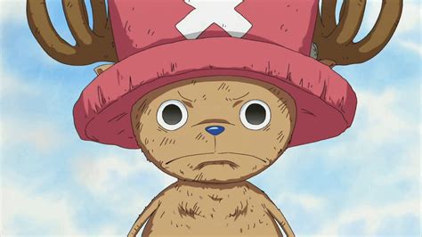 One Piece Chopper Wallpapers Top Free One Piece Chopper Backgrounds