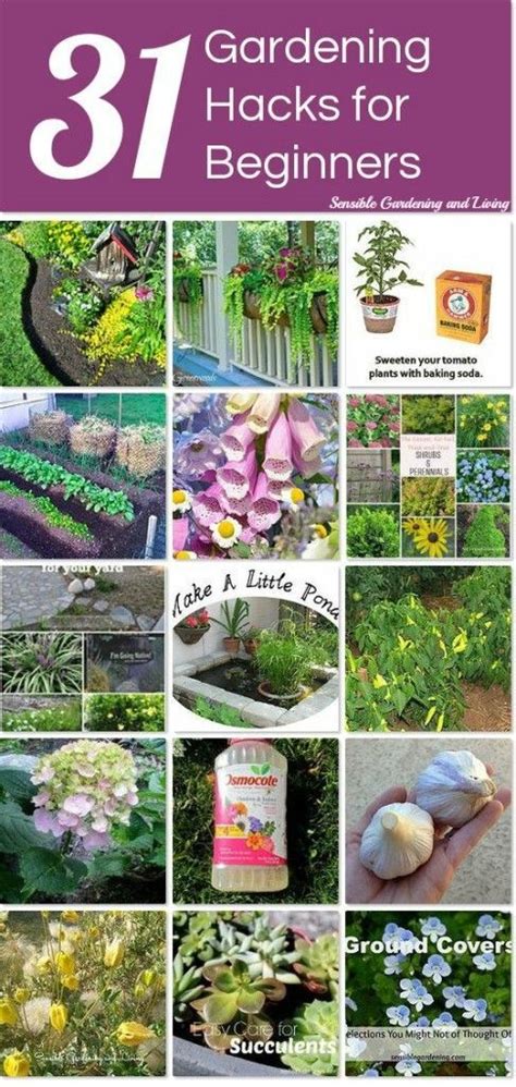 31 gardening hacks with sensible gardening lots to learn and lots of