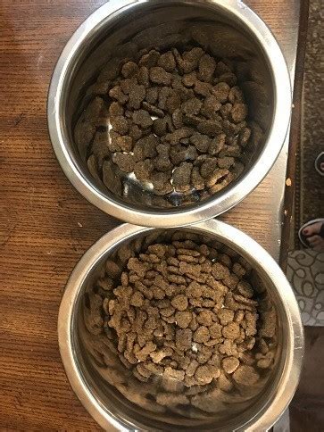 To compliment this incredible meat. Gentle Giants Dry Dog Food Review: Can It Help Your Dog ...