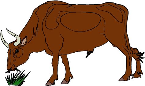 Bull Images Free Clipart Free Download On Clipartmag