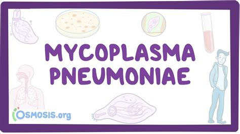 Mycoplasma Pneumoniae Video Anatomy And Definition Osmosis