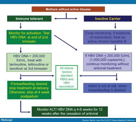 Antiviral Therapy For Chronic Hepatitis B In Pregnancy