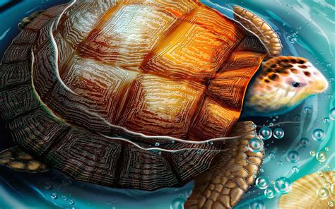 Free Turtle Wallpaper For Desktop WallpaperSafari