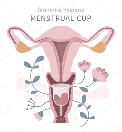 Vector Ilustraci N Vagina Con Cero Residuos Eco Copa Menstrual En El