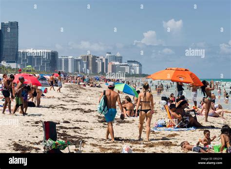 Miami Beach Florida People Relaxing On A Beach Stock Photo 83090653