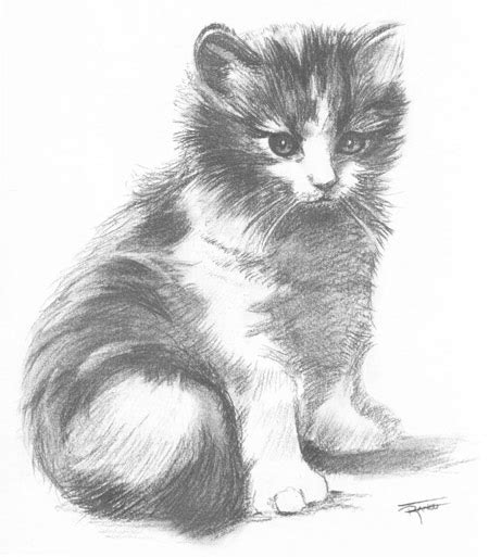Lista 103 Imagen Dibujos De Gatos A Lápiz Fáciles Alta Definición
