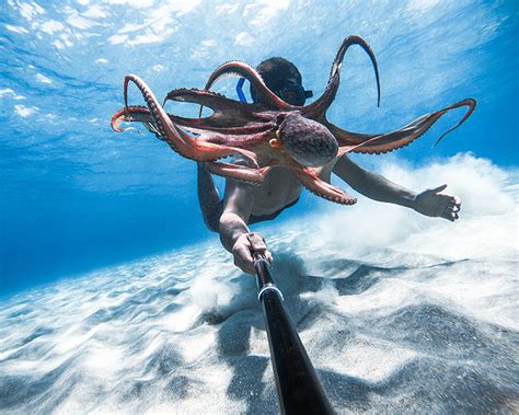 Padi Gopro Launch First Ever Underwaterselfieday To Raise Awareness