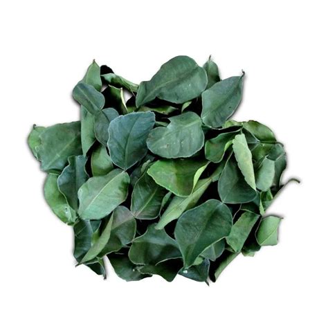Organic Dried Kaffir Lime Leaves From Thailand Special Smell Buy