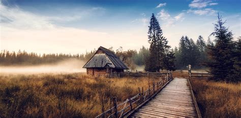 Wallpaper 2048x1008 Px Cabin Dry Grass Fall Forest Landscape