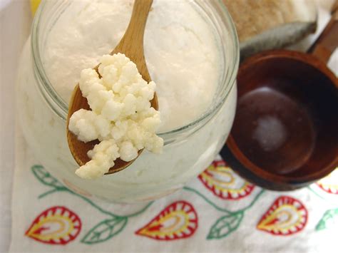 Kefir Grains 1 teaspoon
