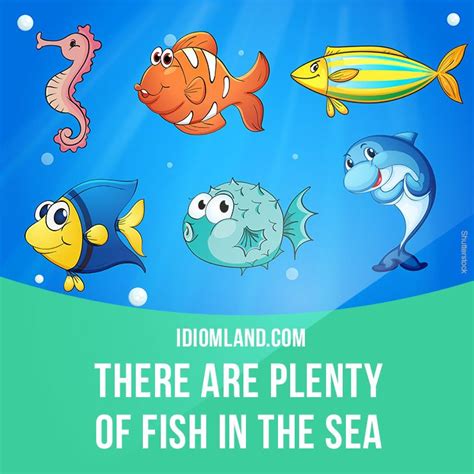 There Are Plenty Of Fish In The Sea Means There Are Lots Of Possible English Idioms