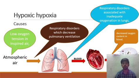 Respiratory System Hypoxia Youtube