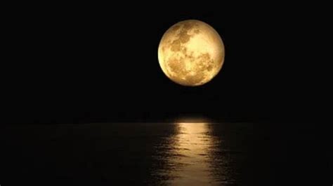 Aprovecha para mirar al cielo en luna llena. ¿Habrá Luna llena en febrero? Fases de la Luna en febrero ...