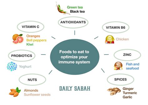 14 Foods To Eat To Optimize Your Immune System This Winter Daily Sabah