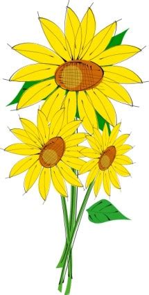 Lukisan ini di cetak di bahan canvas water proof (tahan air) ukuran. Bunga Matahari Vector - ClipArt Best