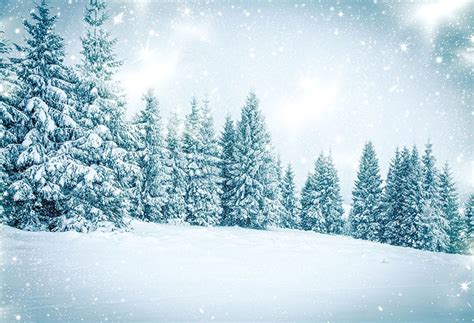 Hot Winter Snow Photo Backdrop Christmas Photography Background Merry