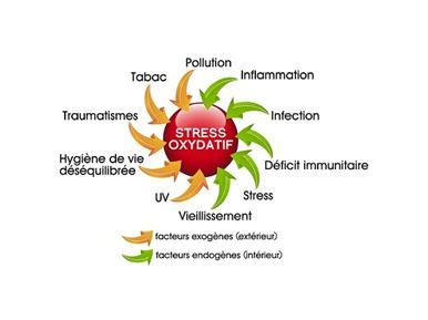 stress oxydant  Comment lutter contre le stress oxydant