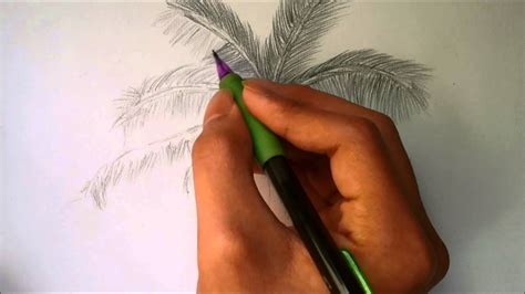 How To Draw A Palm Tree Youtube