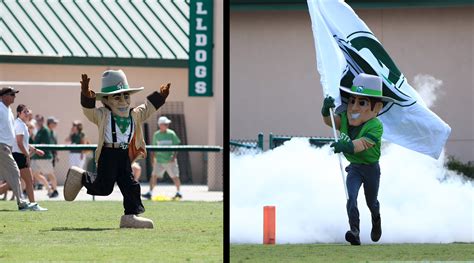 Redesigned John B Mascot Ups His Game For The Hatters Stetson Today