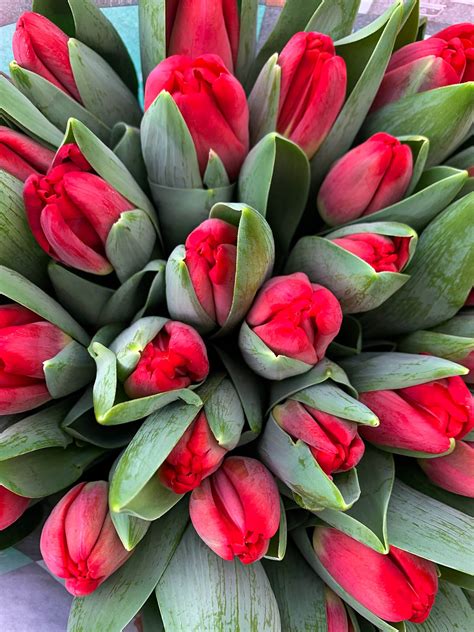 Check spelling or type a new query. Year-round Exposure with Seasonal Flowers - Article on Thursd.