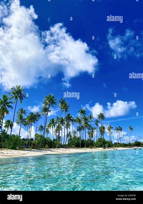 Tahiti Plage Hi Res Stock Photography And Images Alamy