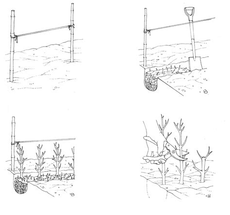 Hedge Laying Lizzie Harper