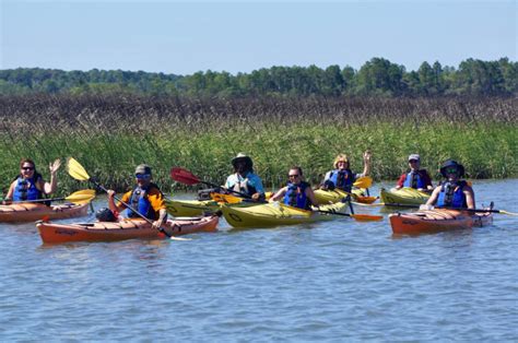 Group 3 Hour Guided Marsh Kayak Tour Charleston Outdoor Adventures