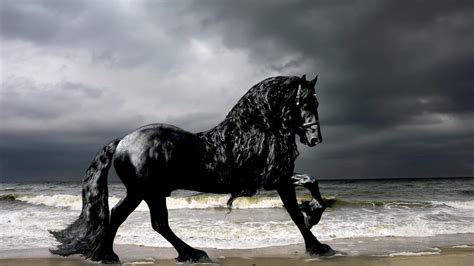 Top 12 Most Beautiful And Rare Horse Breeds In The World Scoop Of The